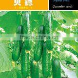 High yield F1 Hybrid cucumber seeds fruit cucumber seeds for growing-Bei De