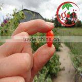 Certificate Organic Goji Berries Wholesale thumbnail-1