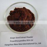 Pure Grape Seed P.E.,ID 100% Vitis Vinifera,OPCs 95% USP Grade,Low Pesticides,Aflatoxin,PAHs thumbnail-4