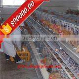Automatic Manure Removal A Type Supplier Poultry Equipment thumbnail-1