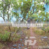 Hot Sale in Asia and Europe Market Insect Fog With Killing Mosquito thumbnail-6