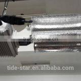 Hot Selling 1000w 600w Double Ended Reflector Ballast
