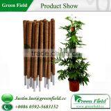 Coco Pole thumbnail-2