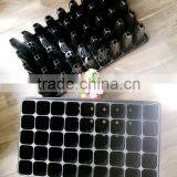 Deep Forest Seed Growing Tray, Tree Seed Propagator thumbnail-3