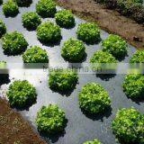 PE Black Mulch Film thumbnail-1