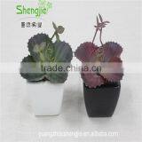 SJLJ013384 Artificial Plant / Fake Plastic Succulent Plant for Office / Restaurant Decoration thumbnail-3