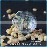 10/12/14/16/18/20/25MM Glass Ball Starfish Necklace Pendant,DIY Bottle Pendant, Mini Glass Globe Jewelry thumbnail-5