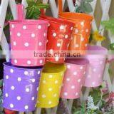 Trade Show Hottest Eco-friendly Flower Pot/Metal Small Flower Pails/Zinc Flower Planter/Metal Flower Pot/Can thumbnail-1