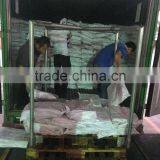 Frozen Illex Squid From CHINA 200-300G thumbnail-3