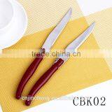 Professional Kitchen Master Stainless Steel Knife With PP Handle Chef Knife thumbnail-2