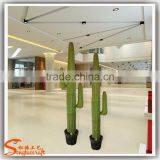 Home Decor Artificial Crafe Cactus Plant All Kinds of Cactus and Succulent Artificial Plants thumbnail-6