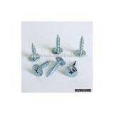 Self Tapping Screw thumbnail-1