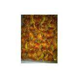 Red Uncleaned Bird Nest thumbnail-1