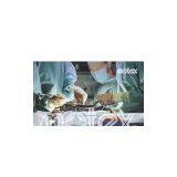 Sell Latex Surgical Gloves(wet-donning) thumbnail-1