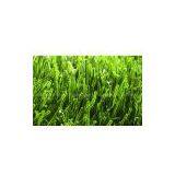 Artificial Turf for Preschool (leisure and Beautifying Purpose)