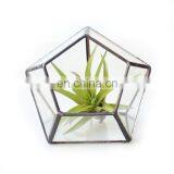 Terrarium Geometric Glass Terrarium Wholesale thumbnail-3