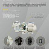 Pool Water Pump thumbnail-3