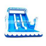 Dolphin Theme Inflatable Double Water Slide With Pool thumbnail-1