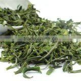 Promotion! Xinyangmaojian Green Tea,Low Price