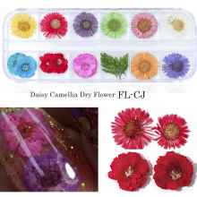 Natural Floral Leaf Stickers Tiny Dried Flowers For Nail Art Camellia Dry Flower thumbnail-2