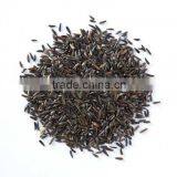 Niger Seeds thumbnail-4