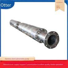 304 Stainless Steel Deep Well Pump_316 Stainless Steel Seawater Pump_seawater Lift Pump Skid thumbnail-5