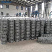 5 ft, 6 ft, 7 ft, 8 ft Hochzugfester Stahldraht, Weidezaun für Rinder, Rehe, Pferde / Gewebter Drahtnetzzaun 12,5 gauge / Farmzaun mit festen Knoten thumbnail-4