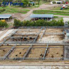 Rust-Proof Cattle Panels: Advanced Coating Ensures Decades of Maintenance-Free Durability in All Climates thumbnail-2