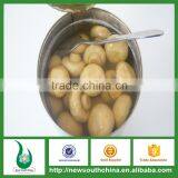 Health Food Canned Mushroom Manufacturing Companies in Abu Dhabi thumbnail-2