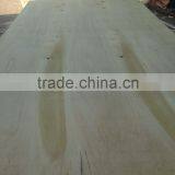 11.5mm Plywood/ Canarium, Ormosia, Styrax thumbnail-4
