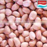 Chinese High Quality Peanut 40/50