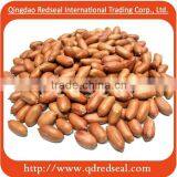 Roasted Peanuts