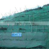 Scaffolding Net