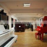 Hangzhou Start Musical Instrument Co., Ltd. company overview - view 3 thumbnail