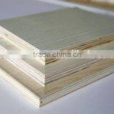 Cheap Sandwich Board / Plywood Price