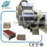 Papua New Guinea Pulp Molding Machine