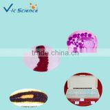 Medical Parasitology Slides Educational Prepared Slides