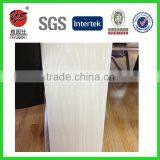 Blanco Madera Interior Decorativo Techo de Pvc