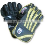 AS Quality Cricket Wicket Keeping Gloves - V3