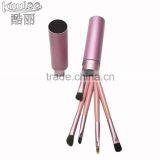 Portable Beauty Factory Price 5Pcs Eye Shadow Makeup Brush Set With Case thumbnail-5