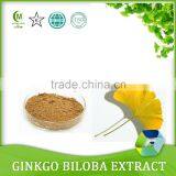 Natural Ginkgo Biloba Leaf Extract,Water Soluble Ginkgo Biloba Extract