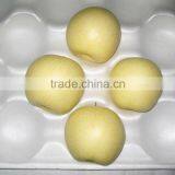 New Fresh Gong Pear 2015 thumbnail-3