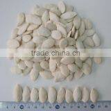 Popular Products Chinese Pumpkin Seeds Distribution
