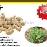 Good Salted Roasted Peanut in Shell thumbnail-1