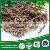 100% Nature Orinanic Dried Fern,raw Salted Ferns,delicious Salted Ferns thumbnail-1