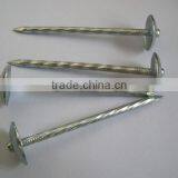 COMMON IRON NAILS FROM CHINA thumbnail-2