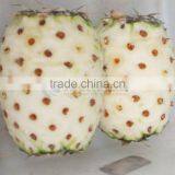 Automatic Electric Pineapple Skin Peeling Processing Machine thumbnail-6