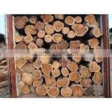 Acacia Timber /Acacia round log
