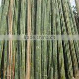 Using Effectively With Bamboo Pole for Garden thumbnail-3