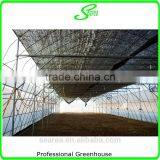 Hot Dipped Galvanzied Arch Pipes Greenhouse thumbnail-5